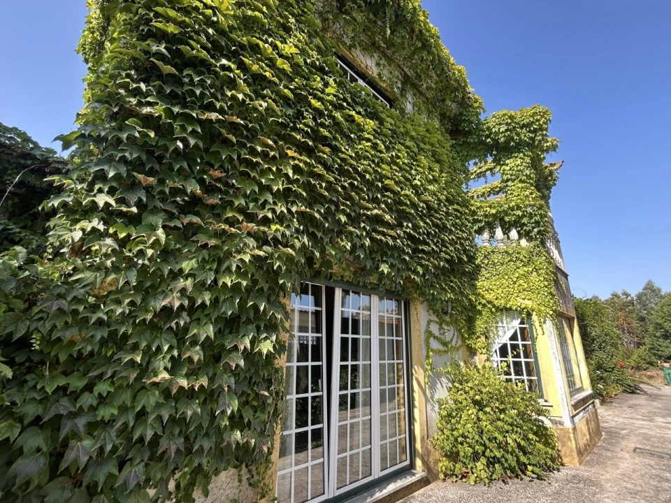 Moradia T4 para Venda em Oiã Foto 6