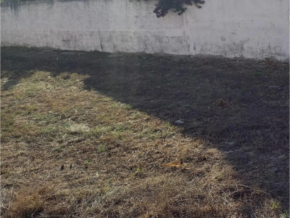 Terreno para Venda em Gafanha da Nazaré Foto 4