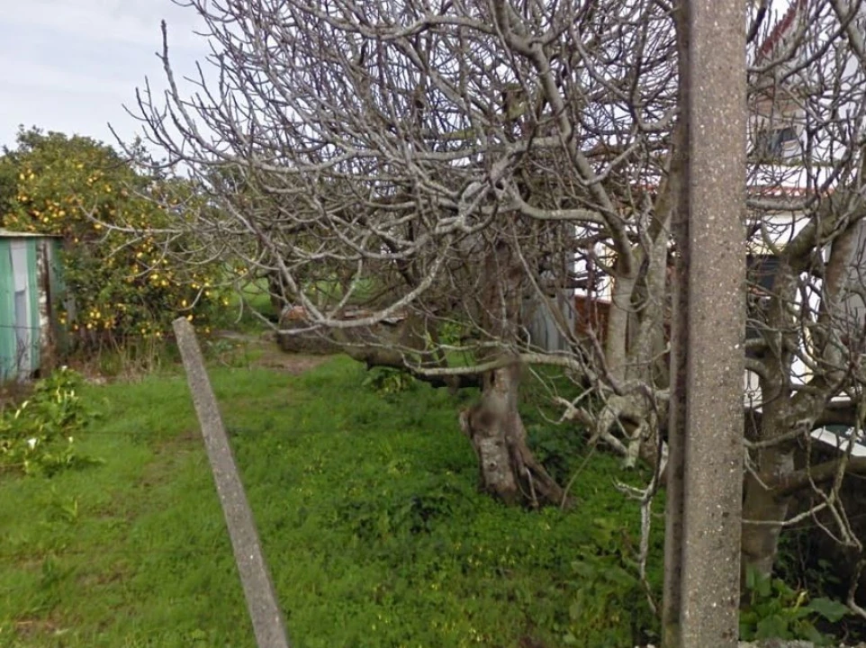 Terreno para Venda em Ílhavo (São Salvador) Foto 1