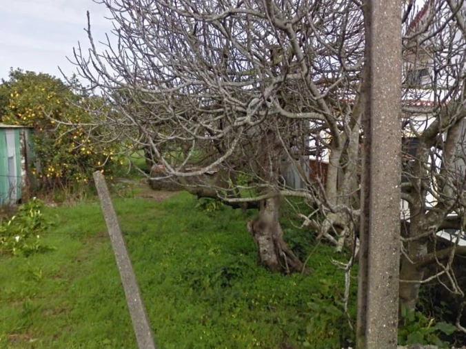 Terreno para Venda em Ílhavo (São Salvador)