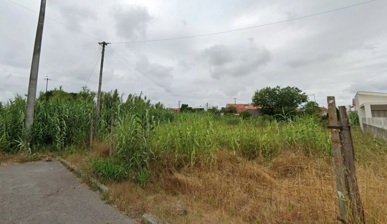 Terreno para Venda em Ílhavo (São Salvador) Foto 1