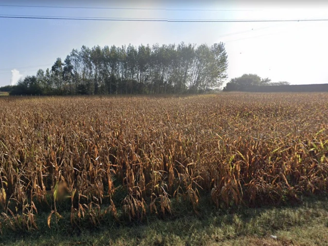 Terreno para Venda em Ílhavo (São Salvador)