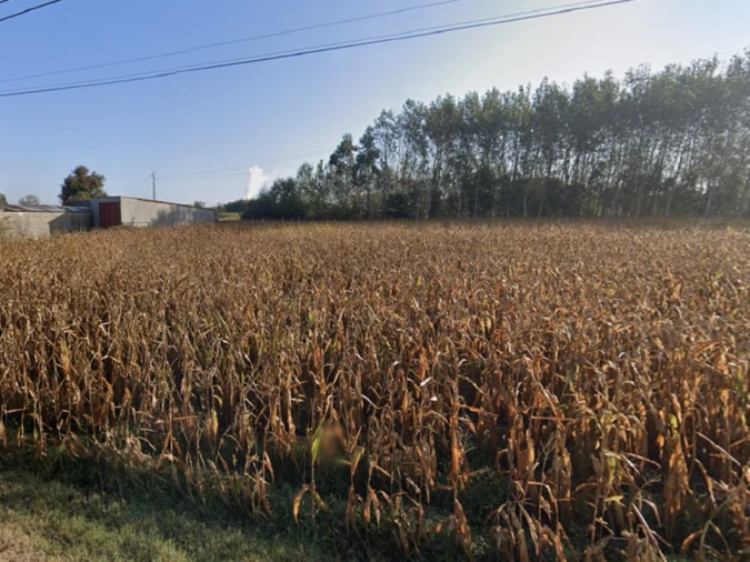Terreno para Venda em Ílhavo (São Salvador) Foto 2