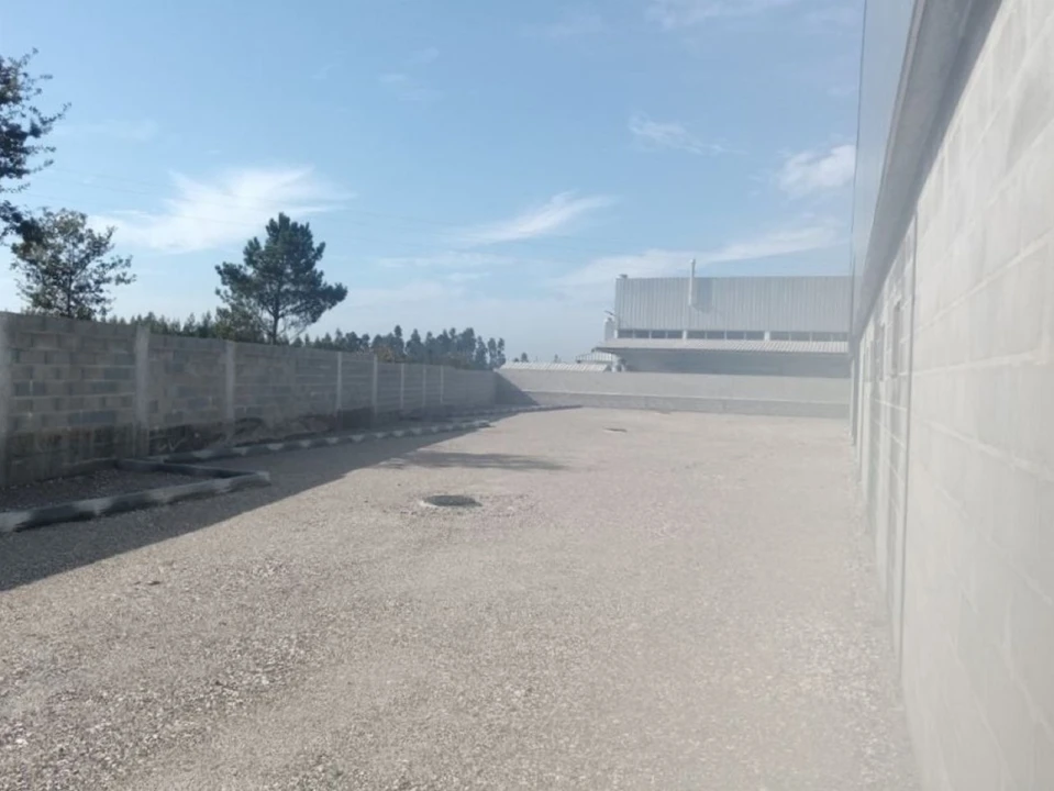 Armazém para Arrendamento em Oiã Foto 2