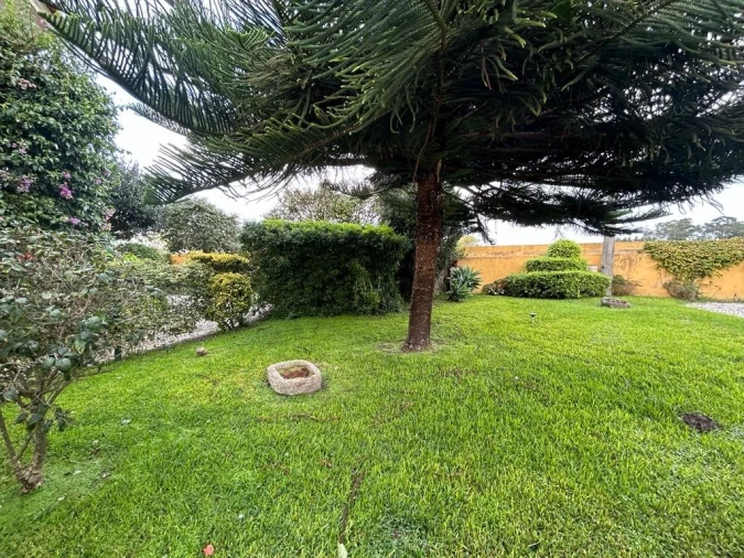 Moradia T7 para Venda em Esgueira Foto 31