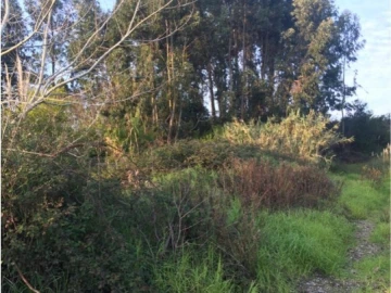 Terreno para Venda em Aradas