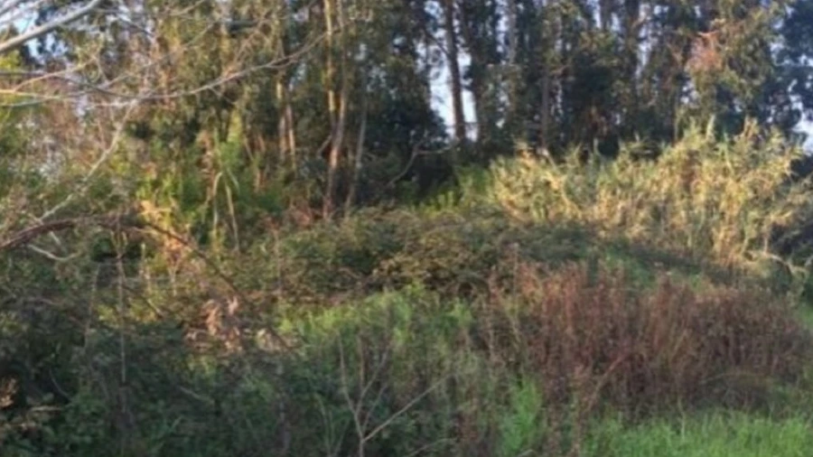 Terreno para Venda em Aradas