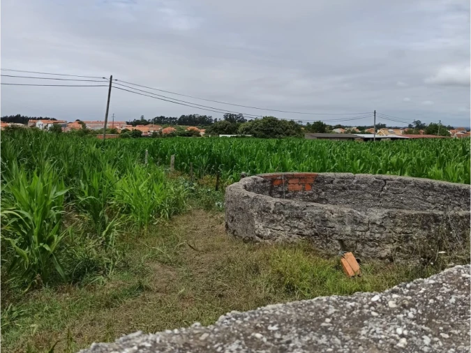 Terreno para Venda em Cacia