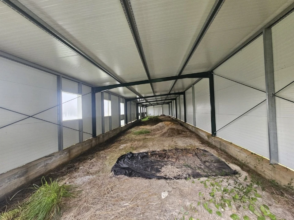 Quinta T2 para Venda em Sever do Vouga Foto 13