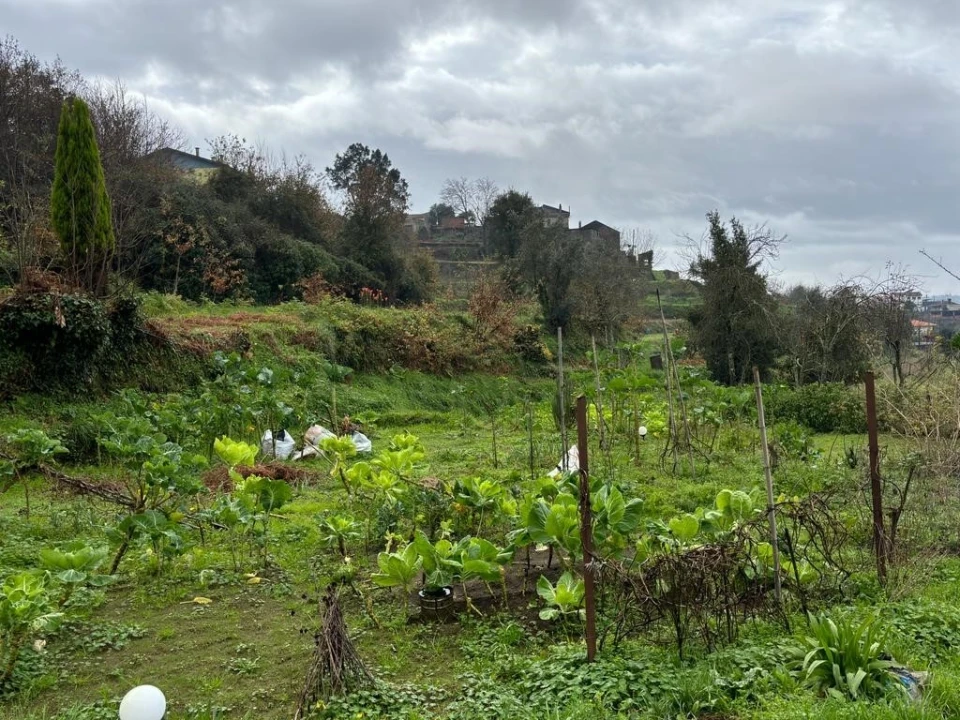 Quinta T2 para Venda em Sever do Vouga Foto 23