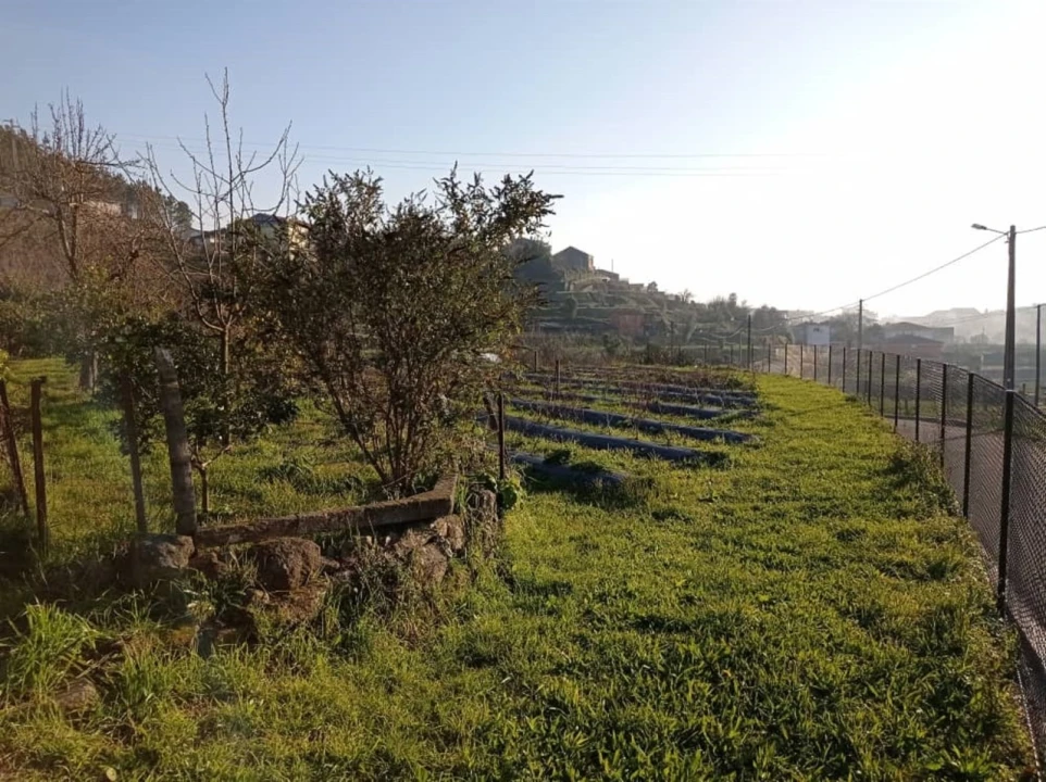 Quinta T2 para Venda em Sever do Vouga Foto 48