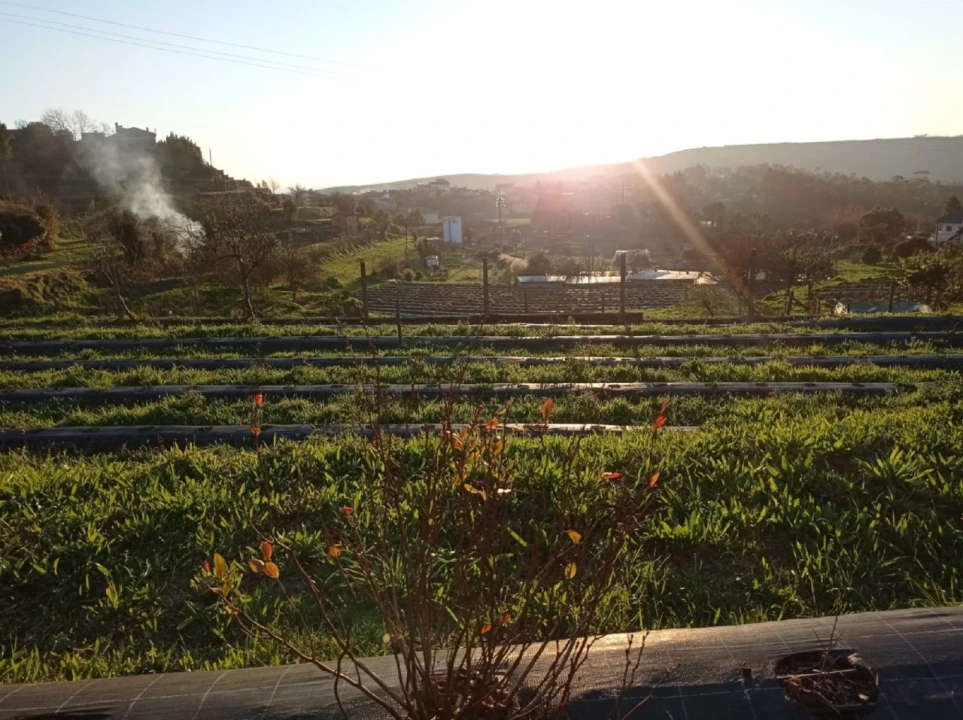 Quinta T2 para Venda em Sever do Vouga Foto 50