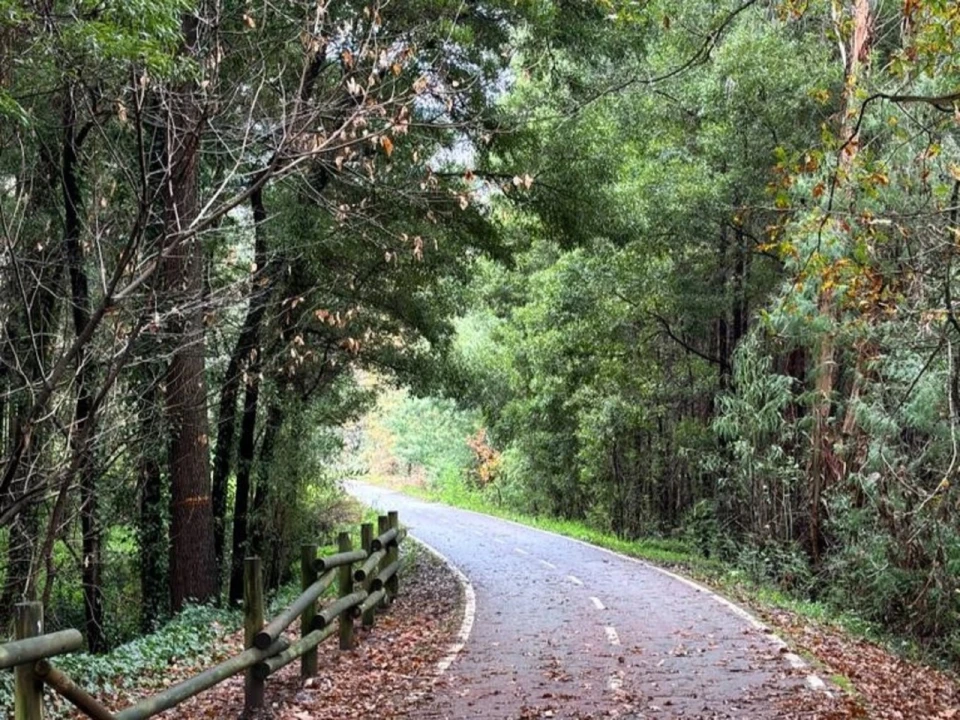 Quinta T2 para Venda em Sever do Vouga Foto 52
