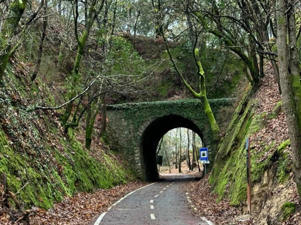Quinta T2 para Venda em Sever do Vouga Foto 53