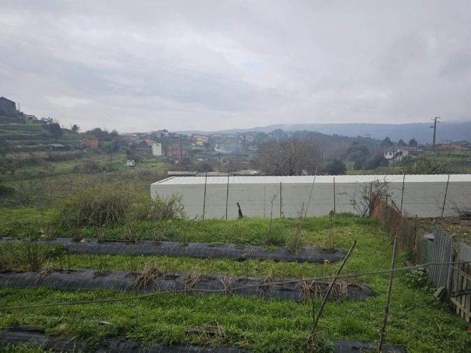 Quinta T2 para Venda em Sever do Vouga Foto 4