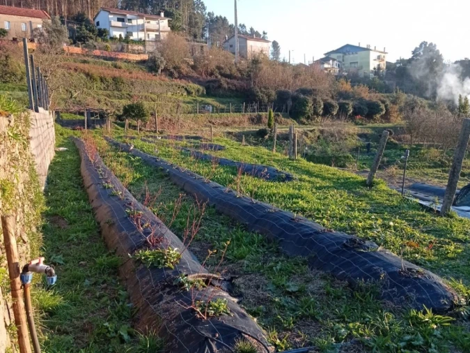 Quinta T2 para Venda em Sever do Vouga Foto 6