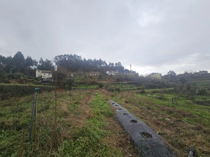 Quinta T2 para Venda em Sever do Vouga Foto 10