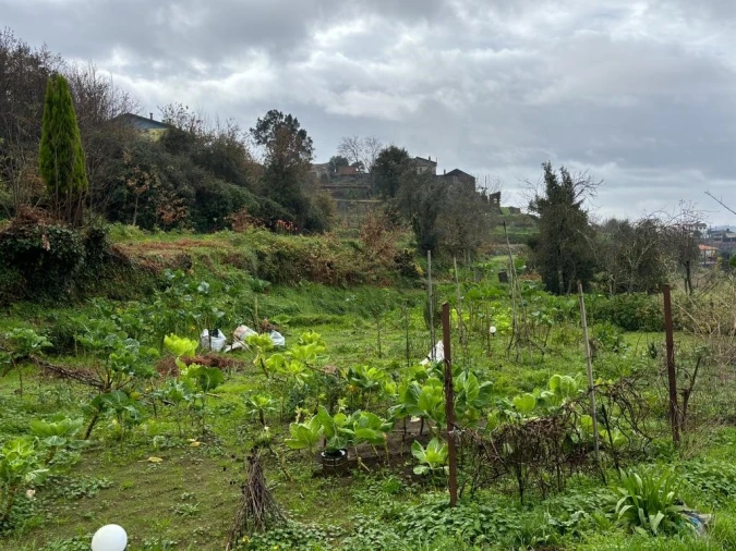 Quinta T2 para Venda em Sever do Vouga Foto 23