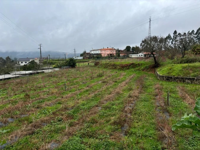 Quinta T2 para Venda em Sever do Vouga Foto 42