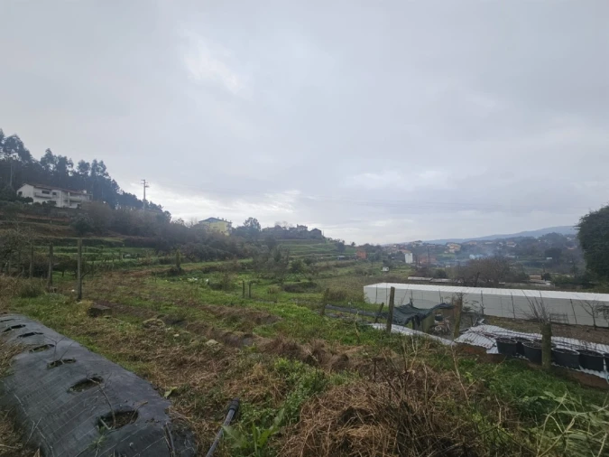 Quinta T2 para Venda em Sever do Vouga Foto 46