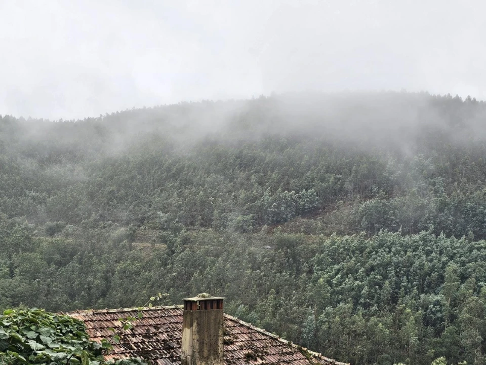 Moradia T2 para Venda em Belazaima do Chão, Castanheira do Vouga e Agadão Foto 9