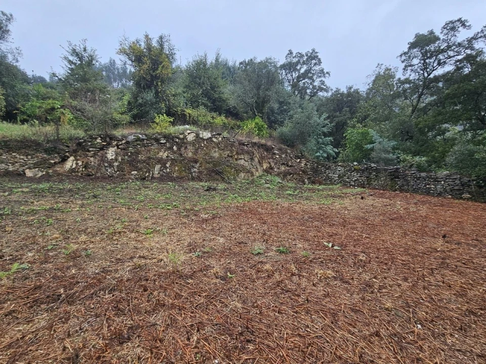 Moradia T2 para Venda em Belazaima do Chão, Castanheira do Vouga e Agadão Foto 20
