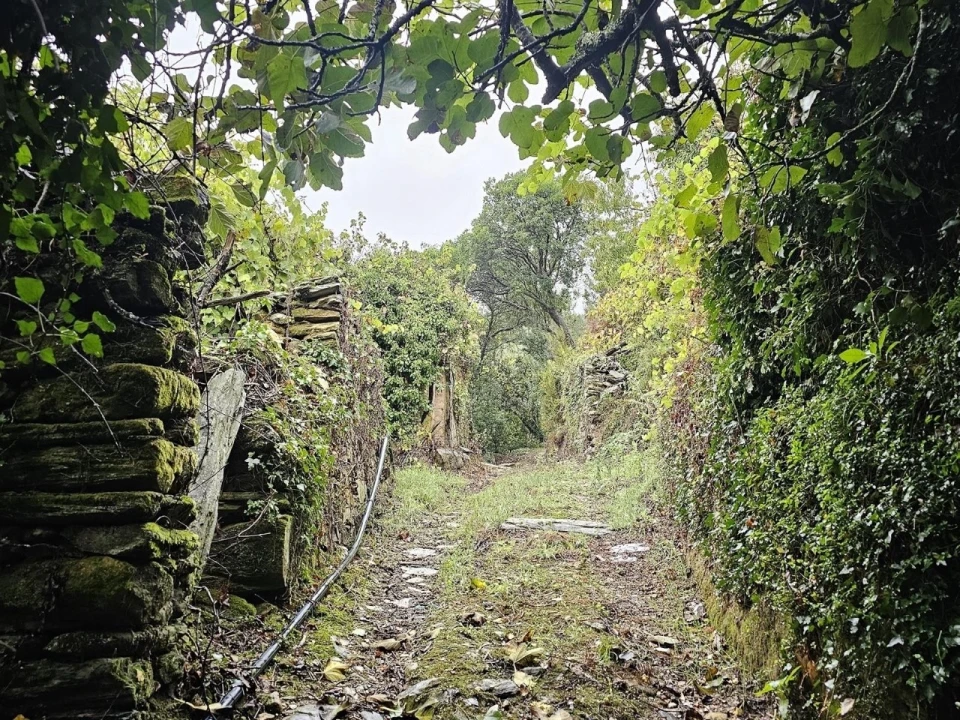 Moradia T2 para Venda em Belazaima do Chão, Castanheira do Vouga e Agadão Foto 22