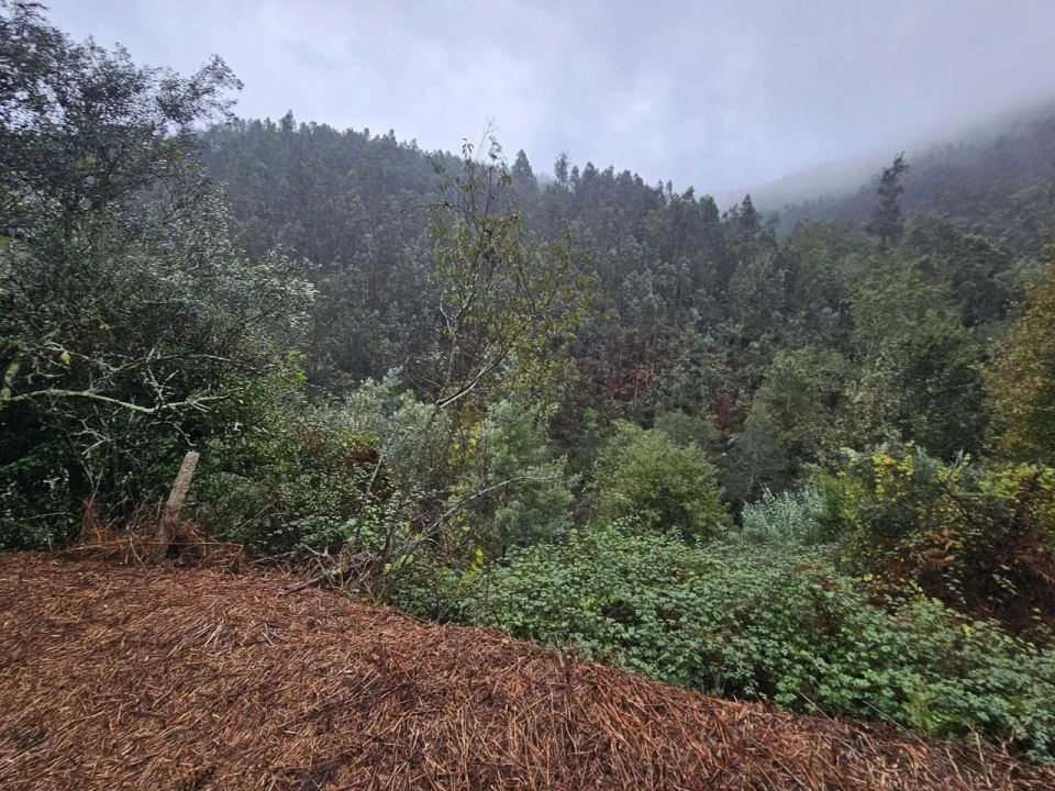 Moradia T2 para Venda em Belazaima do Chão, Castanheira do Vouga e Agadão Foto 23