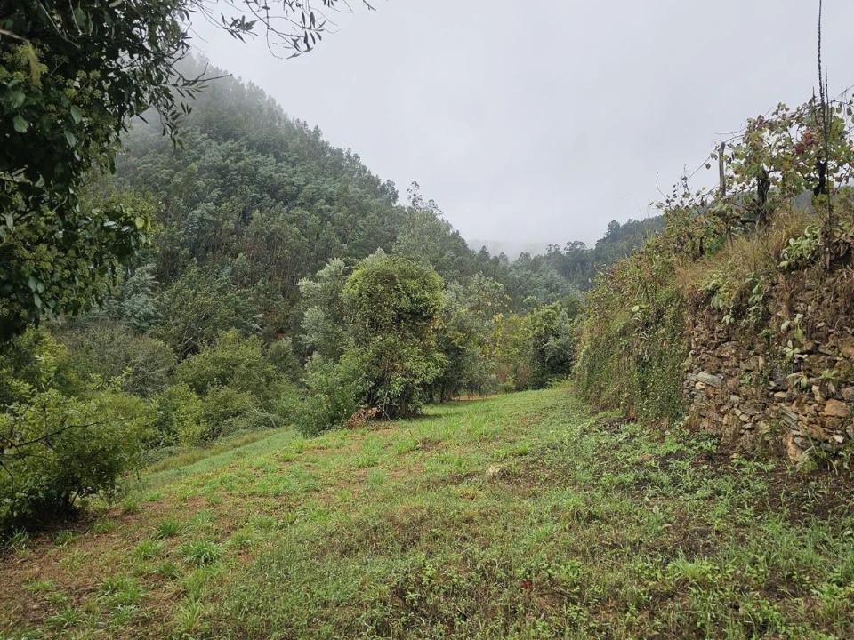 Moradia T2 para Venda em Belazaima do Chão, Castanheira do Vouga e Agadão Foto 26