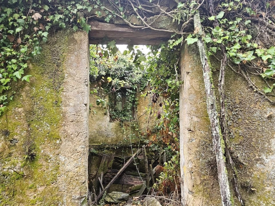 Moradia T2 para Venda em Belazaima do Chão, Castanheira do Vouga e Agadão Foto 27