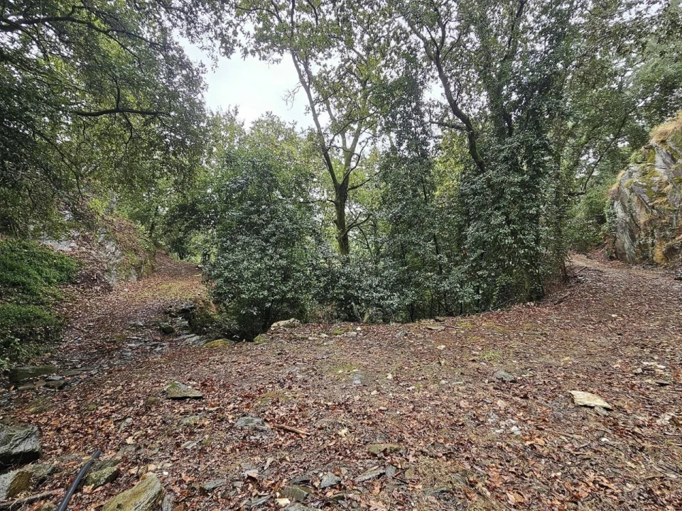 Moradia T2 para Venda em Belazaima do Chão, Castanheira do Vouga e Agadão Foto 33