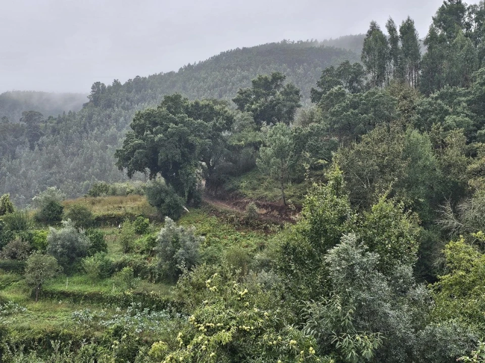 Moradia T2 para Venda em Belazaima do Chão, Castanheira do Vouga e Agadão Foto 34