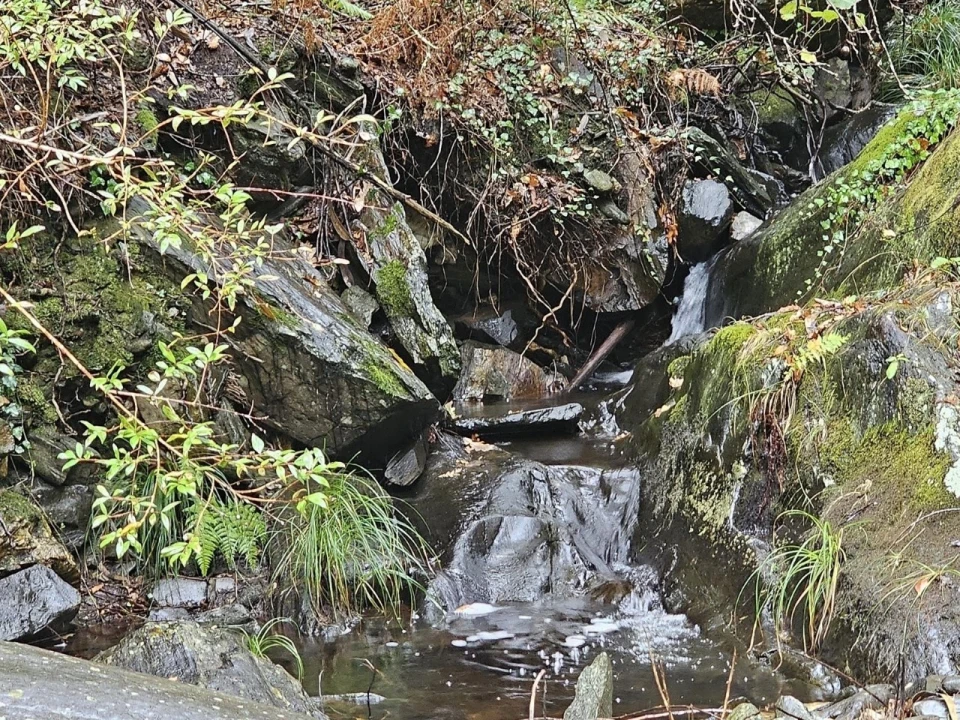 Moradia T2 para Venda em Belazaima do Chão, Castanheira do Vouga e Agadão Foto 37