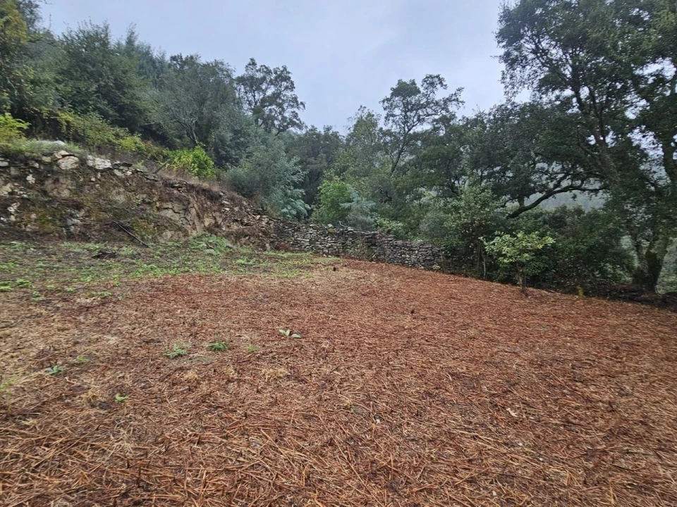 Moradia T2 para Venda em Belazaima do Chão, Castanheira do Vouga e Agadão Foto 38