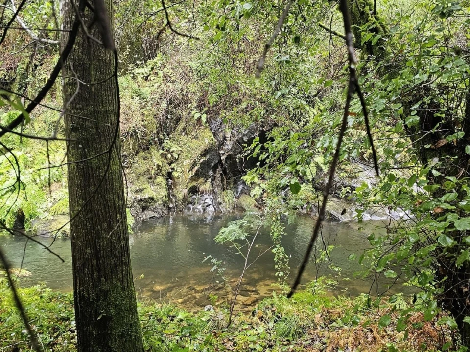 Moradia T2 para Venda em Belazaima do Chão, Castanheira do Vouga e Agadão Foto 40