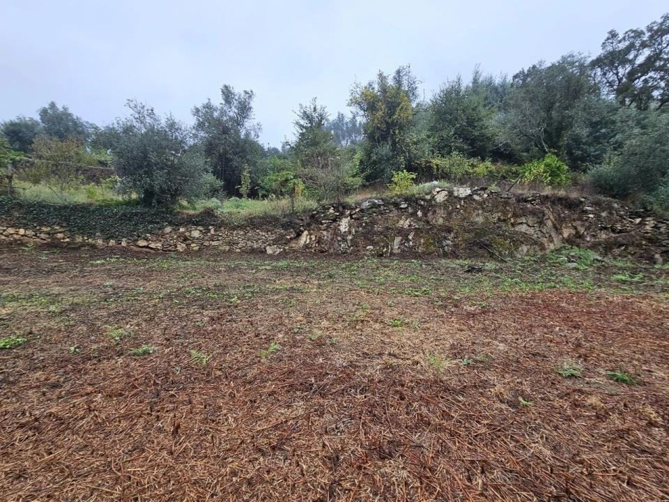 Moradia T2 para Venda em Belazaima do Chão, Castanheira do Vouga e Agadão Foto 45