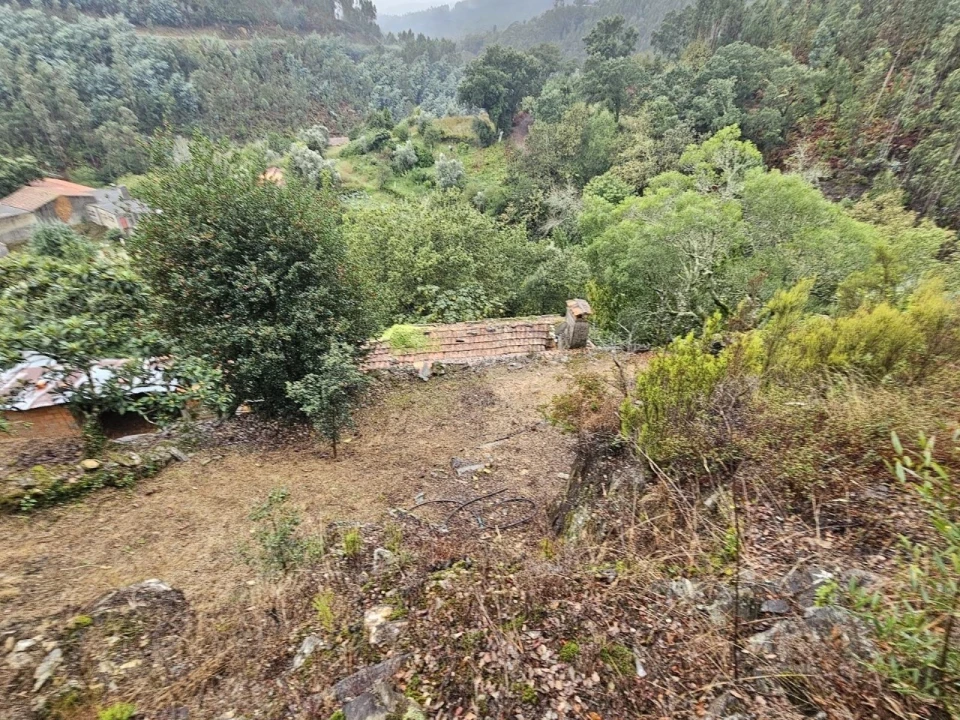 Moradia T2 para Venda em Belazaima do Chão, Castanheira do Vouga e Agadão Foto 46