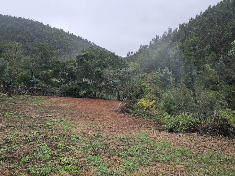 Moradia T2 para Venda em Belazaima do Chão, Castanheira do Vouga e Agadão Foto 47