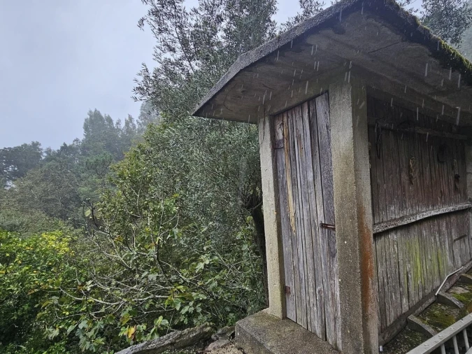 Moradia para Venda em Belazaima do Chão, Castanheira do Vouga e Agadão Foto 19