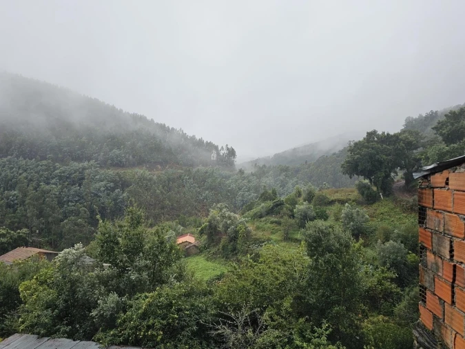 Moradia para Venda em Belazaima do Chão, Castanheira do Vouga e Agadão Foto 39