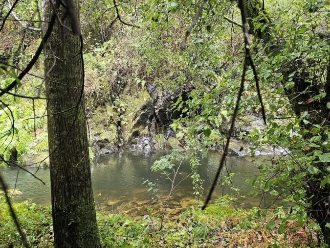 Moradia para Venda em Belazaima do Chão, Castanheira do Vouga e Agadão Foto 40
