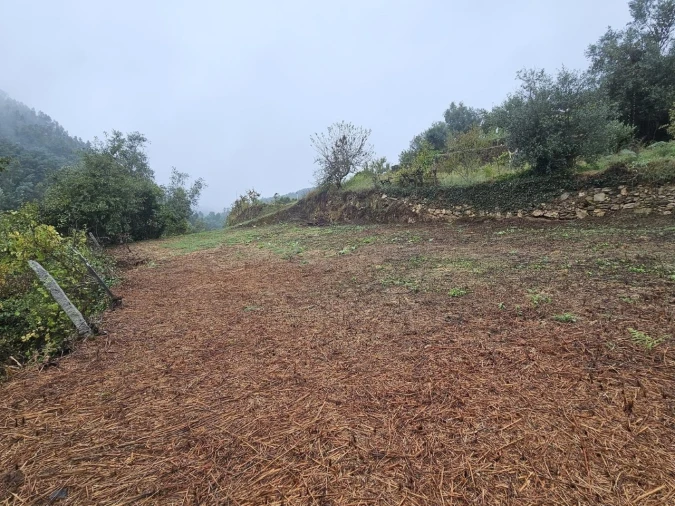 Moradia para Venda em Belazaima do Chão, Castanheira do Vouga e Agadão Foto 42
