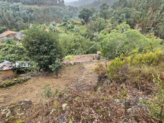 Moradia para Venda em Belazaima do Chão, Castanheira do Vouga e Agadão Foto 46