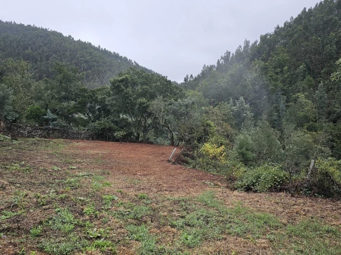 Moradia para Venda em Belazaima do Chão, Castanheira do Vouga e Agadão Foto 47