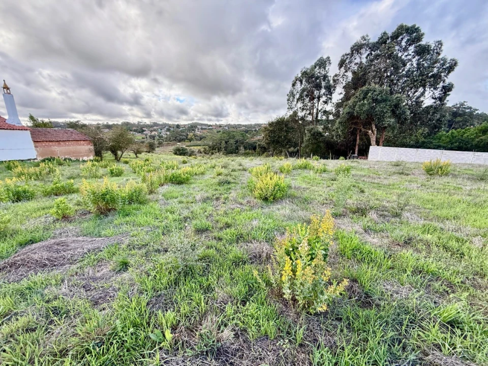 Terreno para Venda em Cela Foto 2