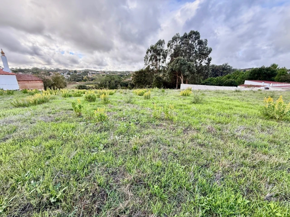 Terreno para Venda em Cela Foto 3