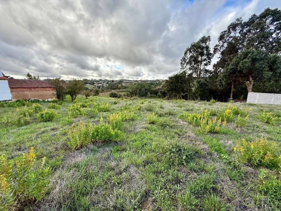 Terreno para Venda em Cela Foto 5