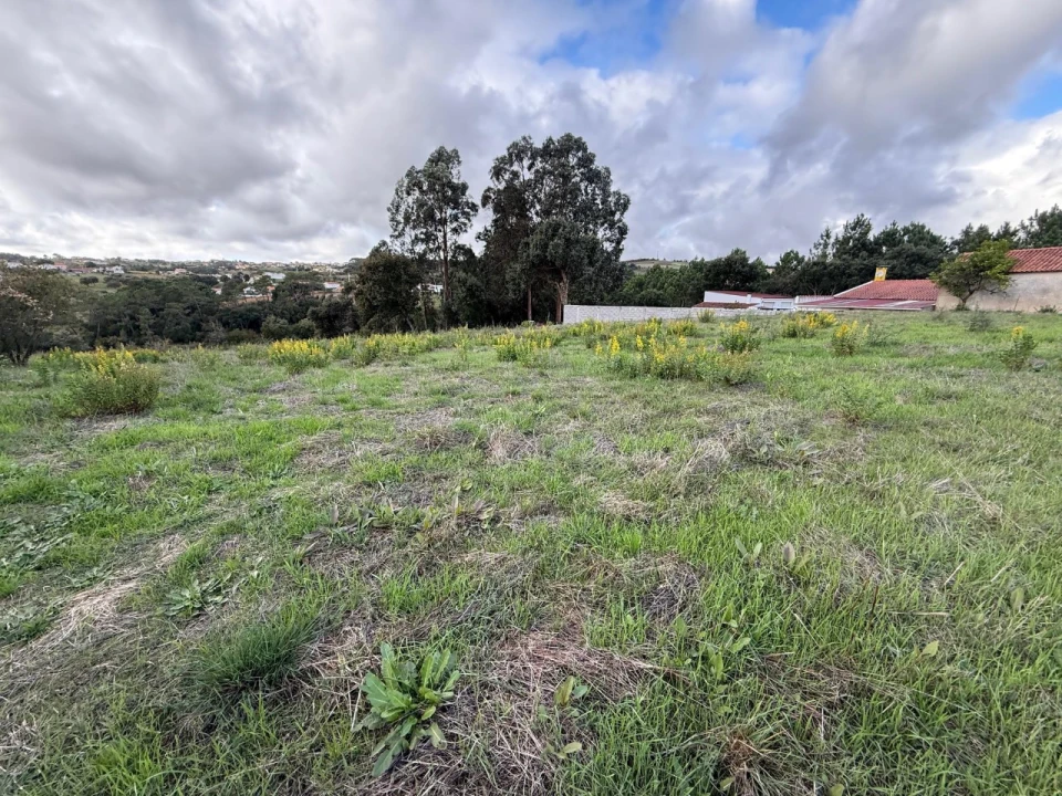 Terreno para Venda em Cela Foto 7