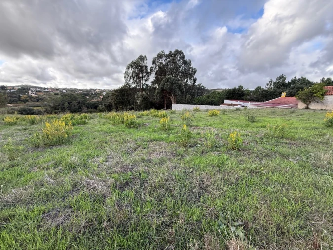 Terreno para Venda em Cela Foto 4