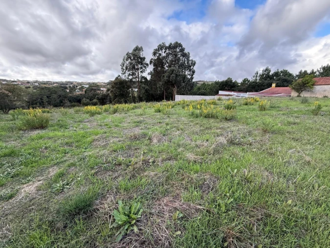 Terreno para Venda em Cela Foto 7